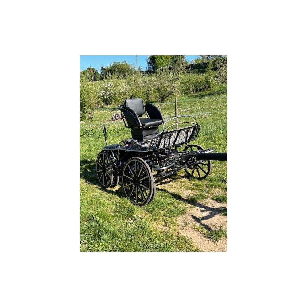 OCCASION Tiger 2/4 poneys