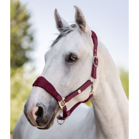 Licol Rom Waldhausen