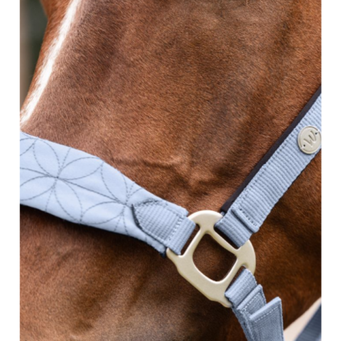 Licol Rom Waldhausen 2