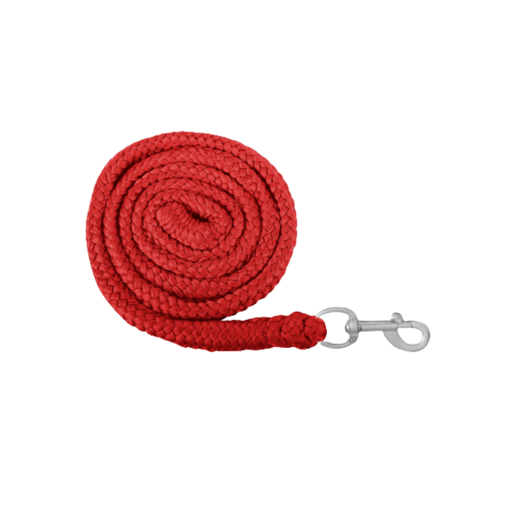 Longe de licol Economic - Waldhausen