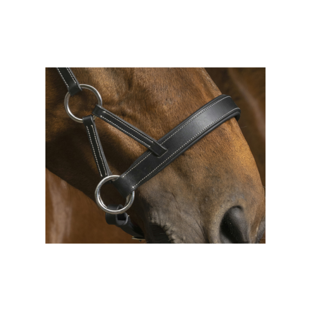 Side-pull Pro Confort - NORTON