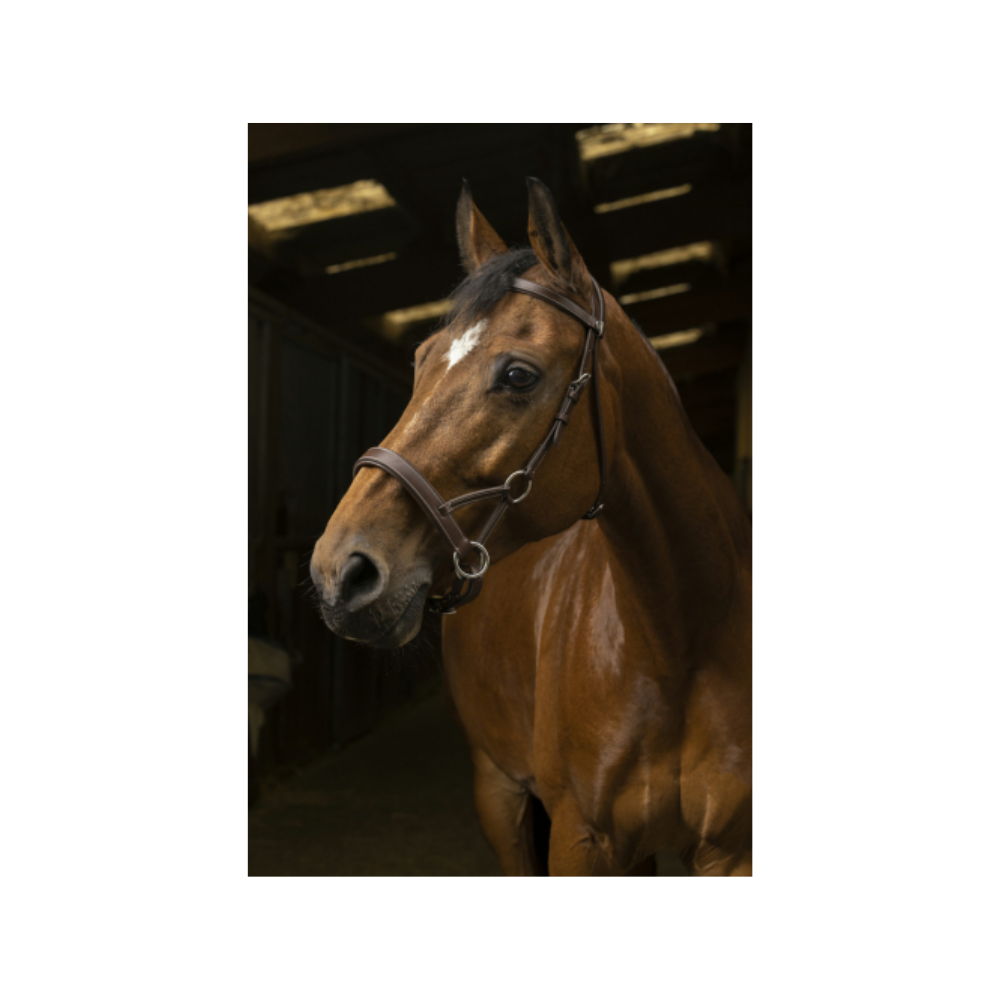 Side-pull Pro Confort - NORTON