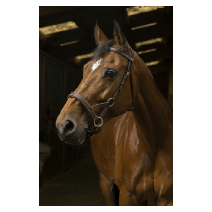 Side-pull Pro Confort - NORTON