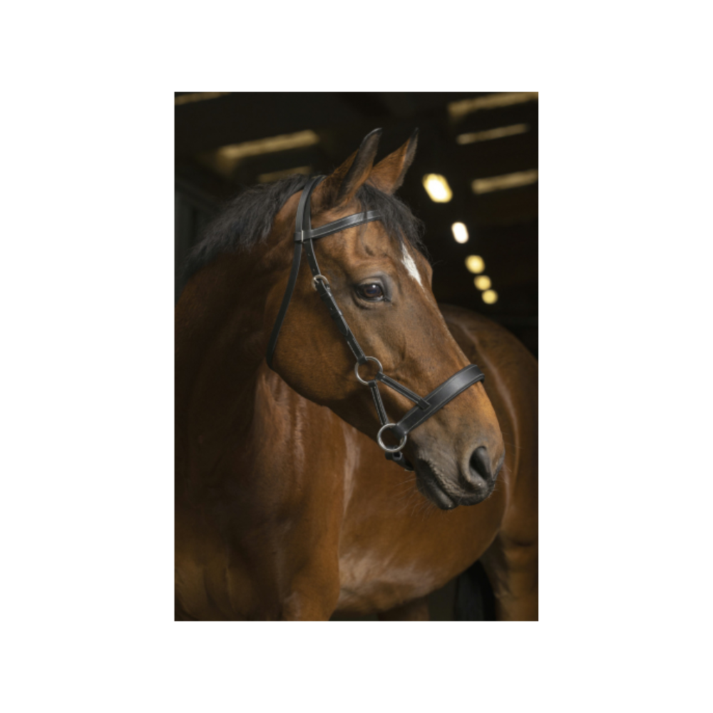 Side-pull Pro Confort - NORTON