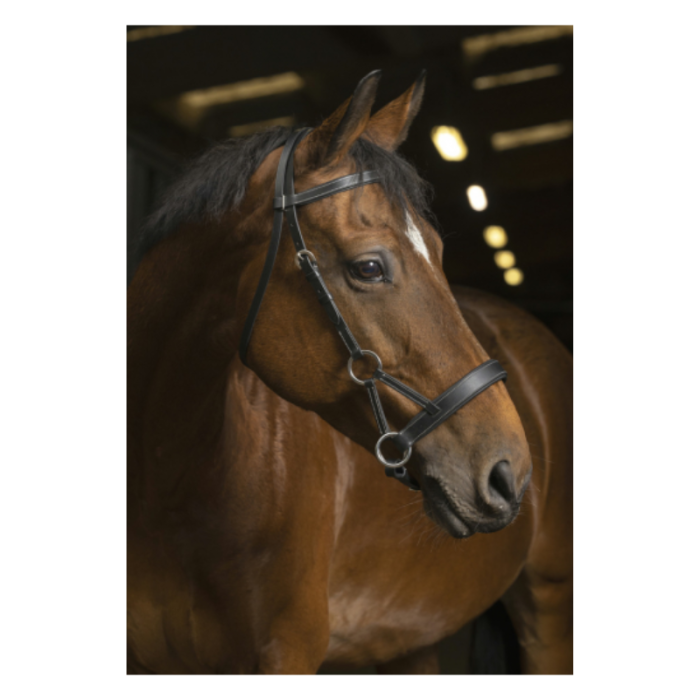 Side-pull Pro Confort - NORTON