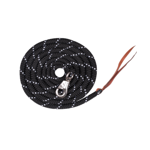 Longe de Présentation Western