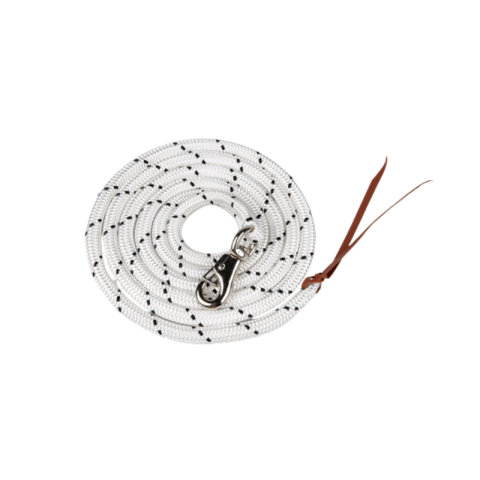 Longe de Présentation Western 2