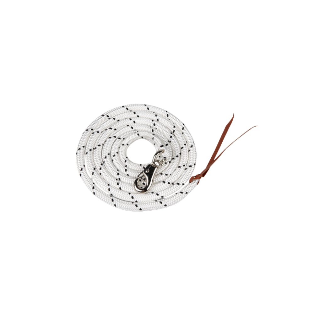 Longe de Présentation Western