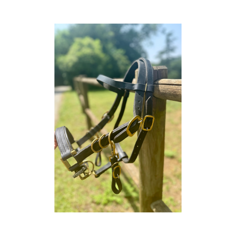 Bridon-licol Cheval de trait