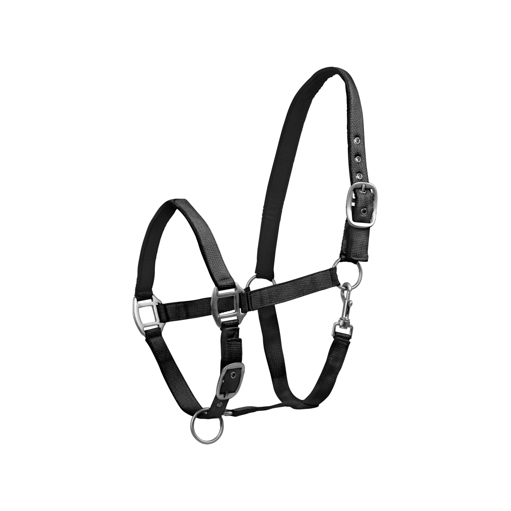 Licol Satin - WALDHAUSEN