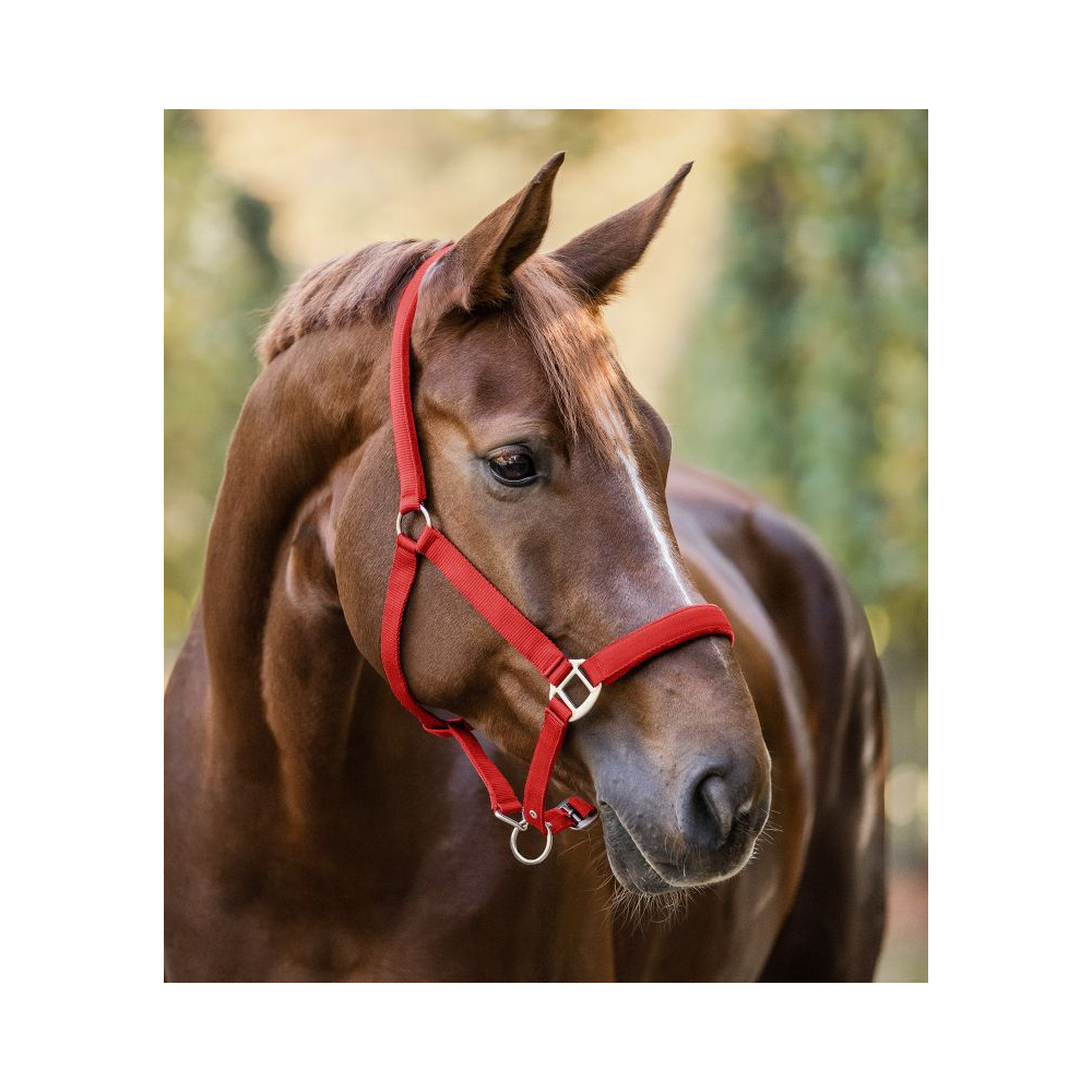 Licol Satin - WALDHAUSEN