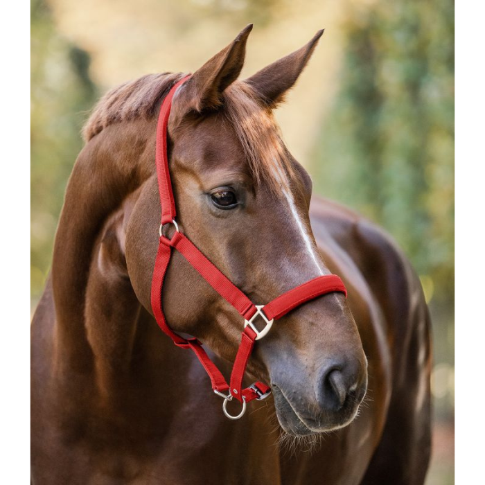 Licol Satin - WALDHAUSEN