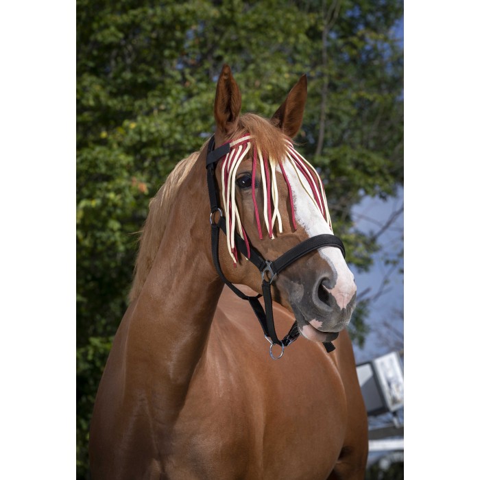 Frontal chasse-mouches - NORTON