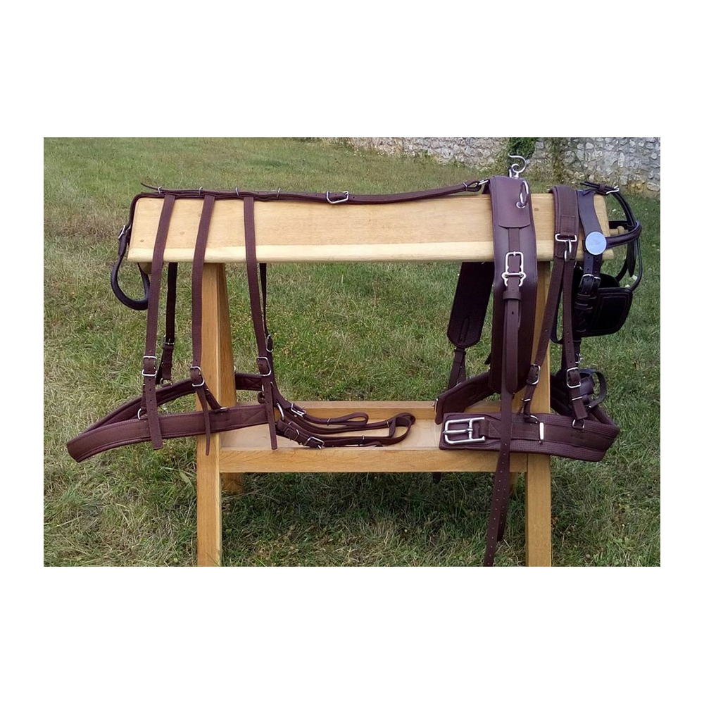 Harnais nylon doublé néoprène