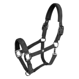 Licol St Gallen Waldhausen