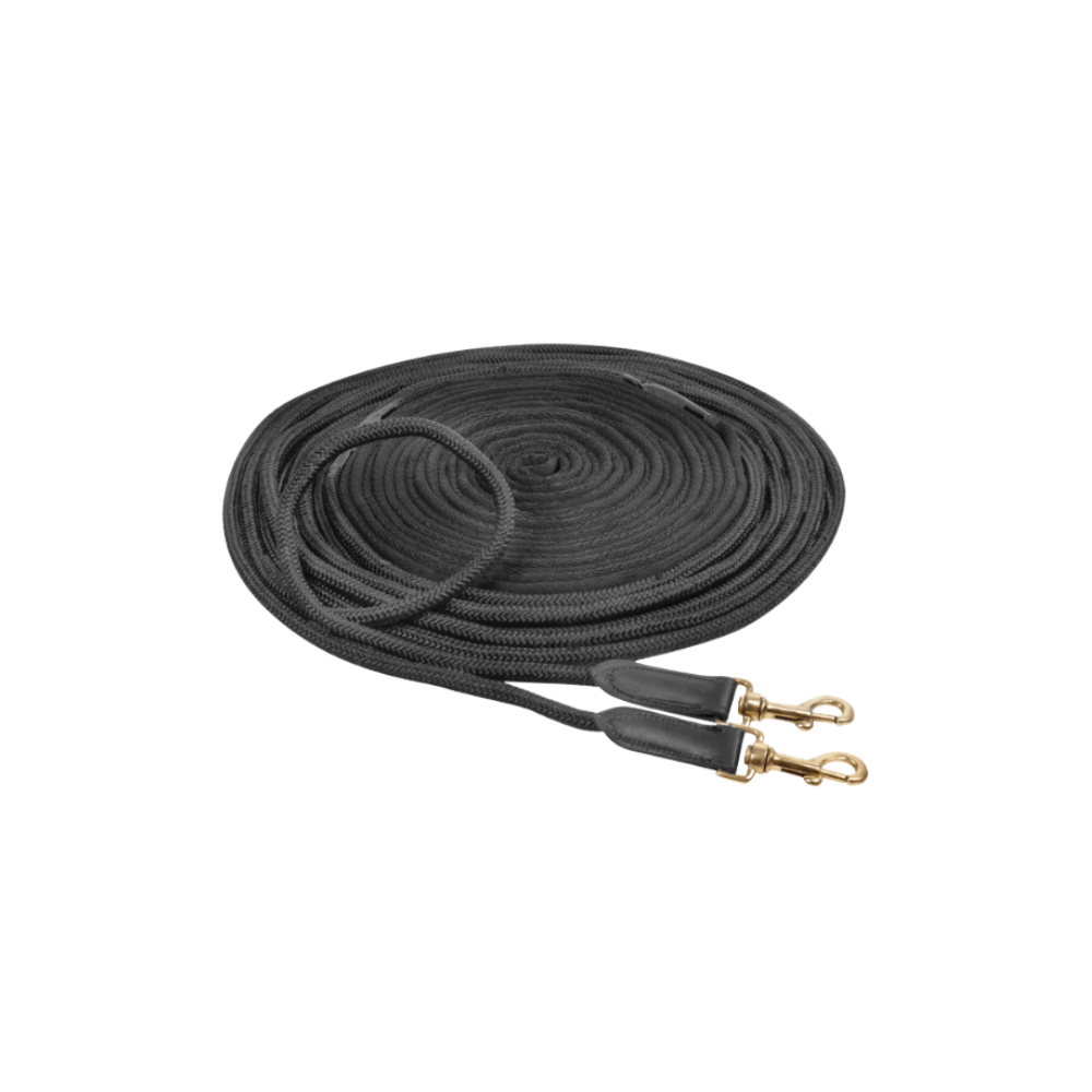 Longe double - Waldhausen