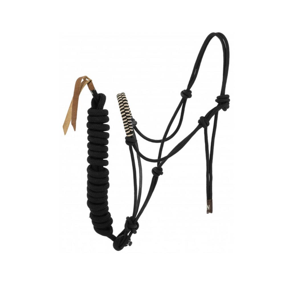 Licol éthologique + longe NORTON