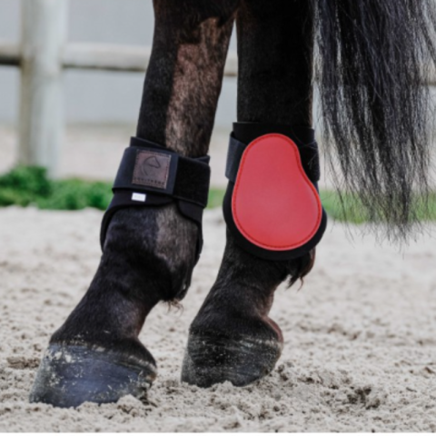 Protège-boulets Tara - EQUITHEME