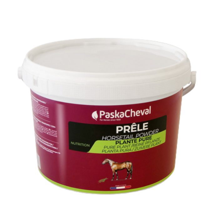 Prêle PASKACHEVAL