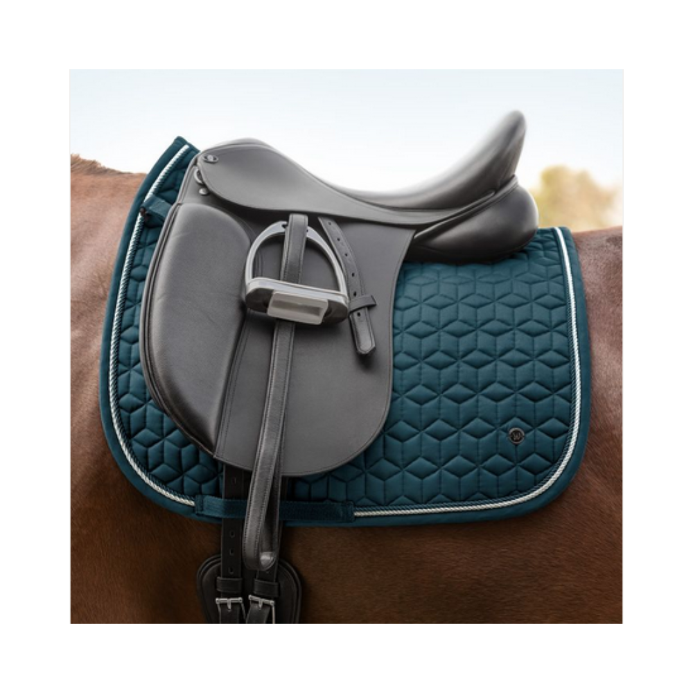 Chabraque dressage Philadelphia