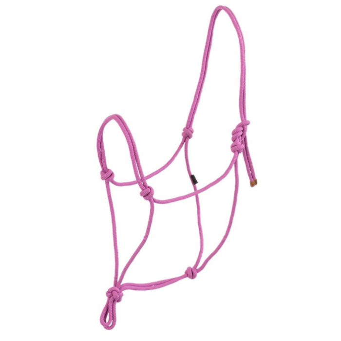 Licol éthlogique - BR