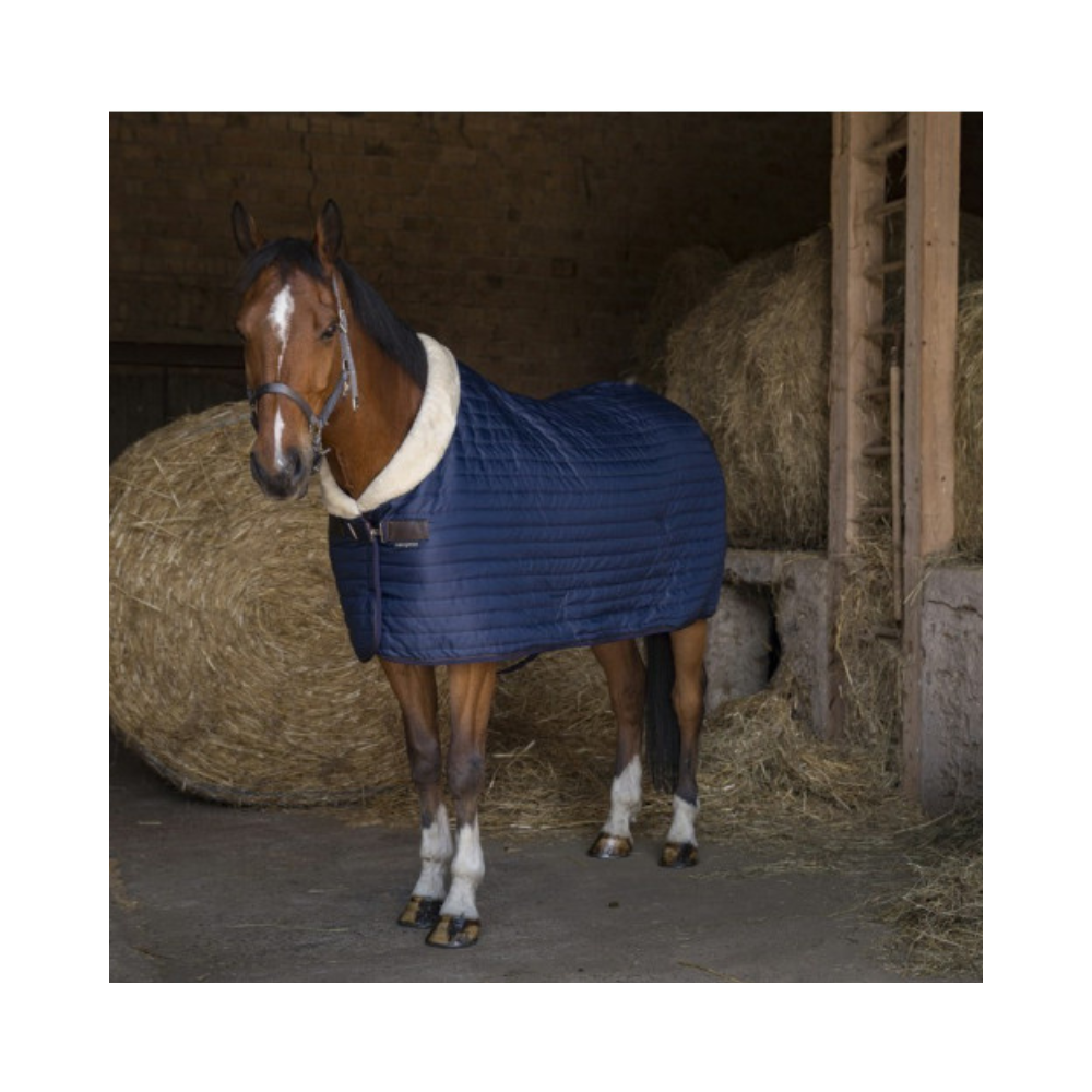 Couverture box TEDDY