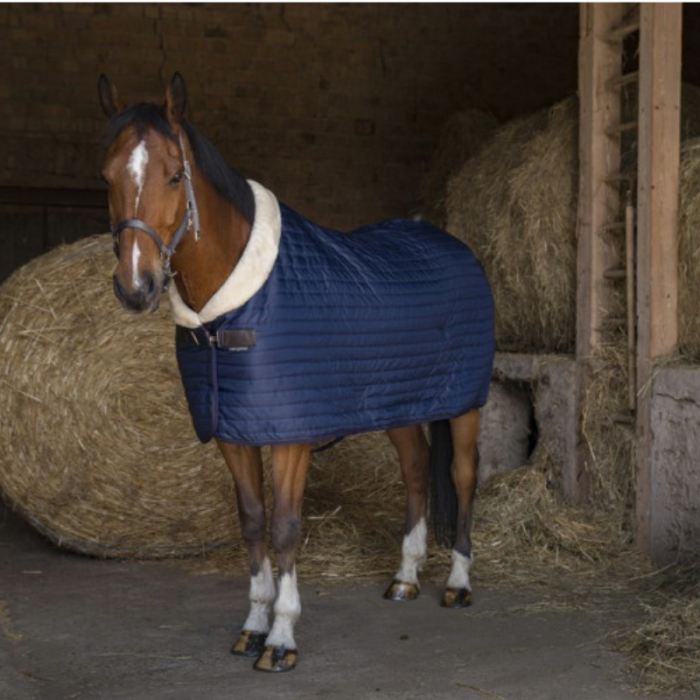 Couverture box TEDDY