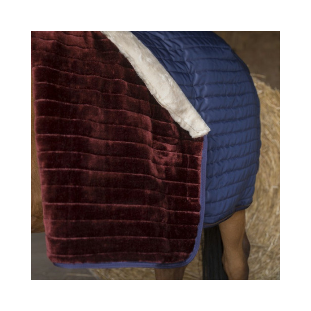 Couverture box TEDDY