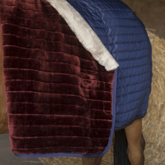 Couverture box TEDDY