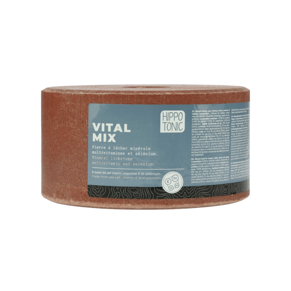 Pierre à sel - HIPPOTONIC