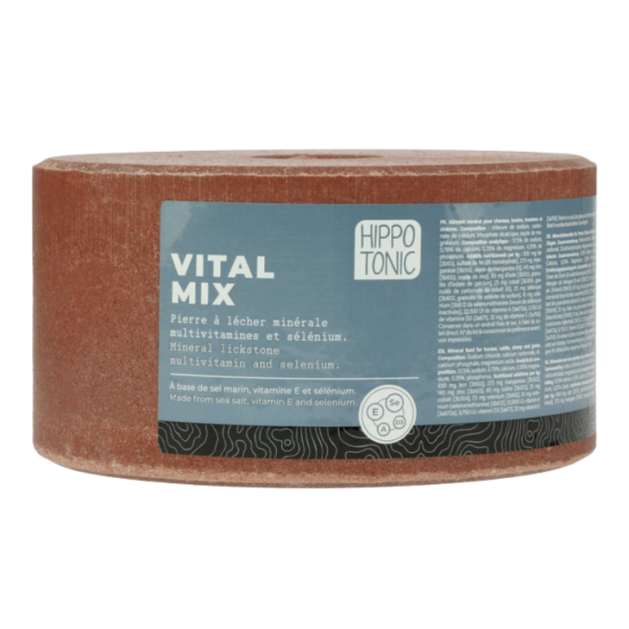 Pierre à sel - HIPPOTONIC