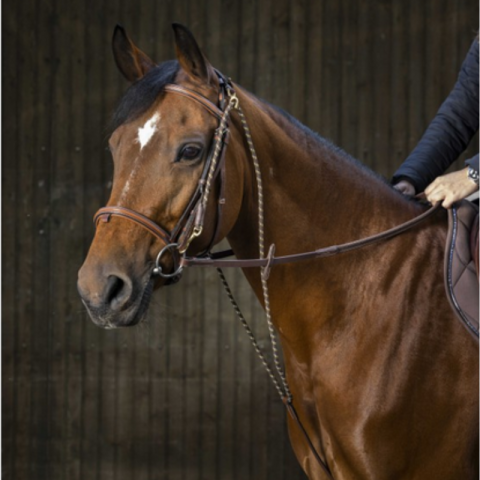 Chambon - ERIC THOMAS PRO 2