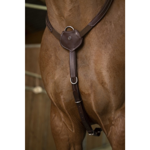 Collier de chasse Confort - NORTON PRO 2