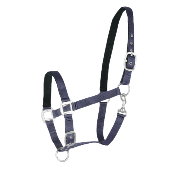 Licol Satin - WALDHAUSEN