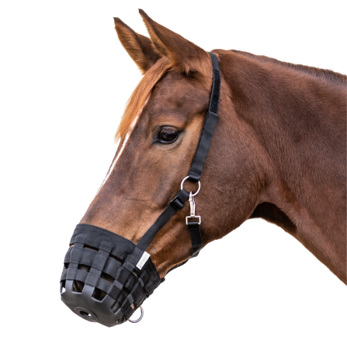 Muselière pour pâturage