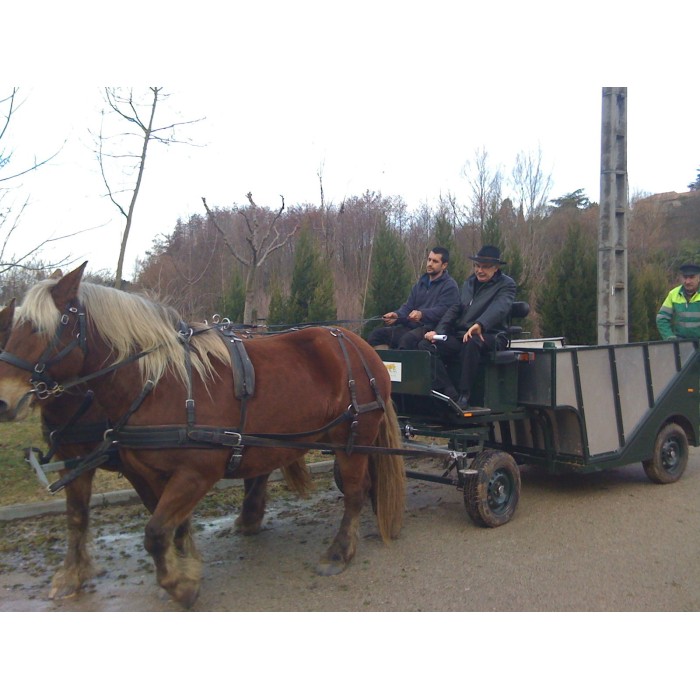 Equivert Glinkowski occasion