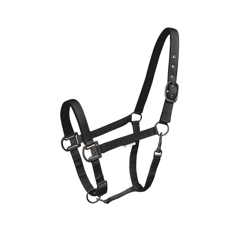 Licol Gloomy - WALDHAUSEN