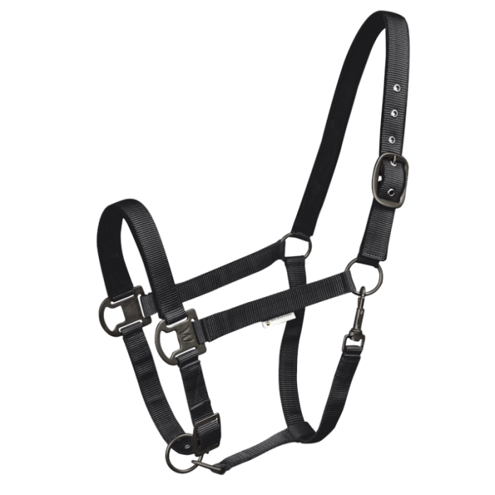 Licol Gloomy - WALDHAUSEN