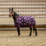 Couverture Licorne 600D 220g