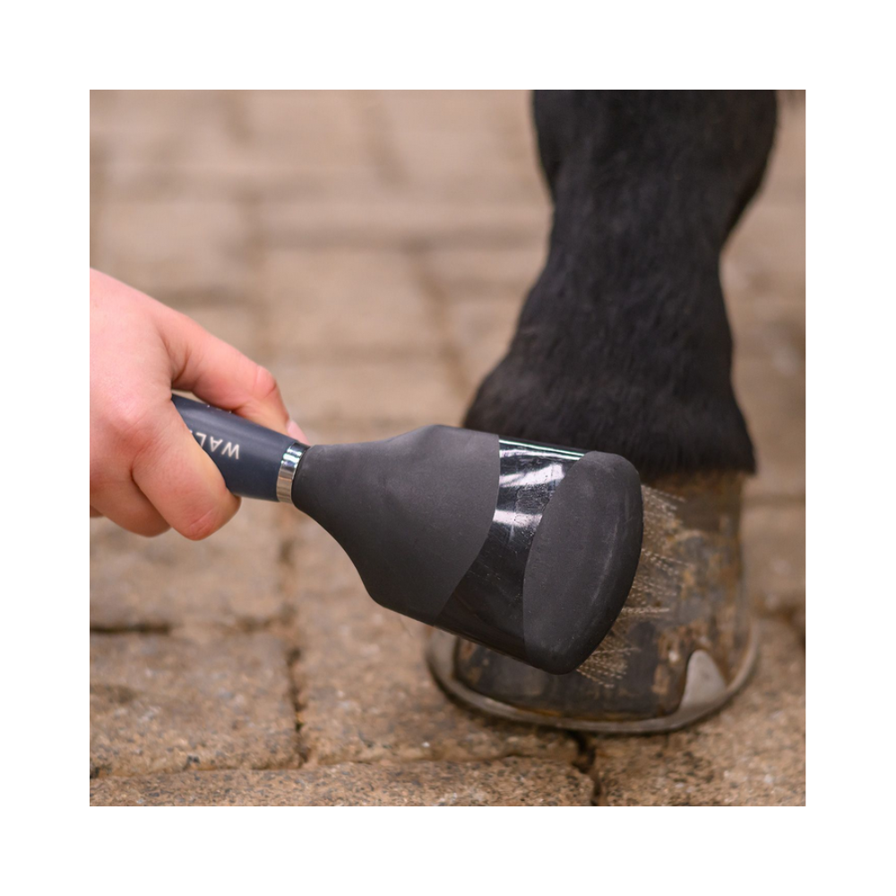 Brosse à sabots avec poignée gel