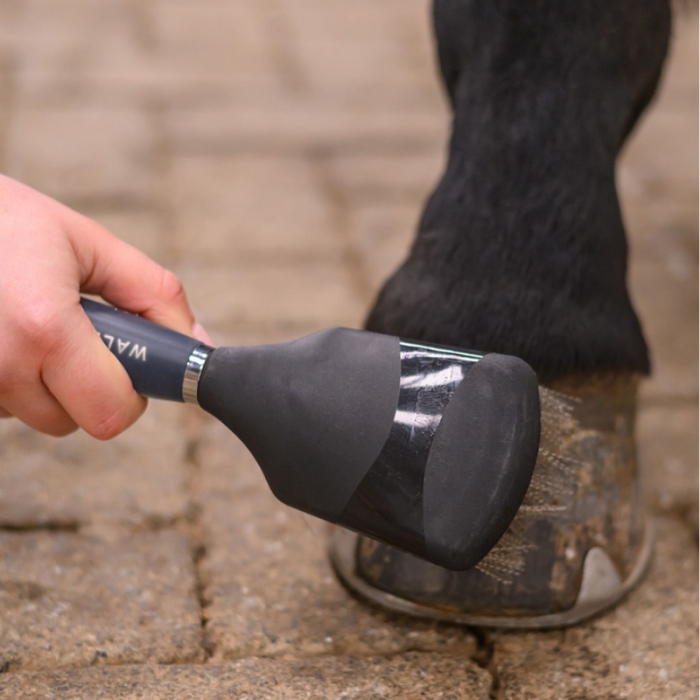 Brosse à sabots avec poignée gel