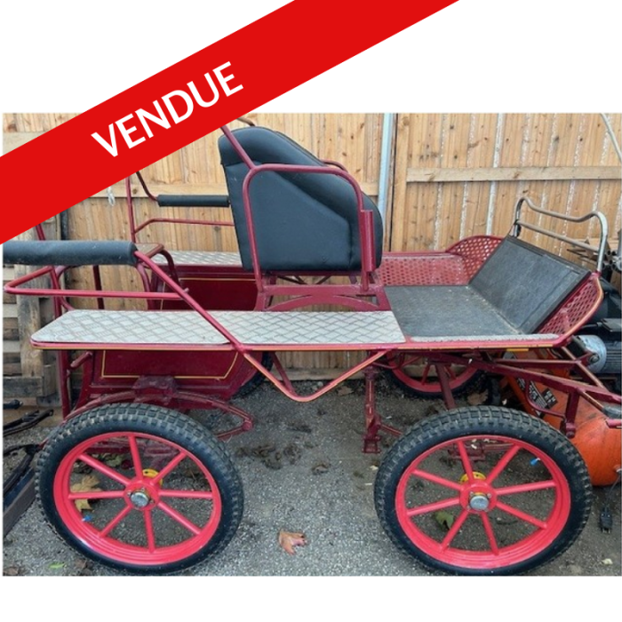 Marathon loisirs poney d'occasion - PojKon