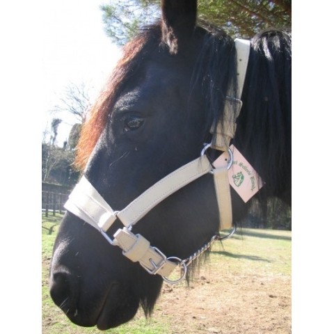 Licol d'artillerie en cuir SB 2