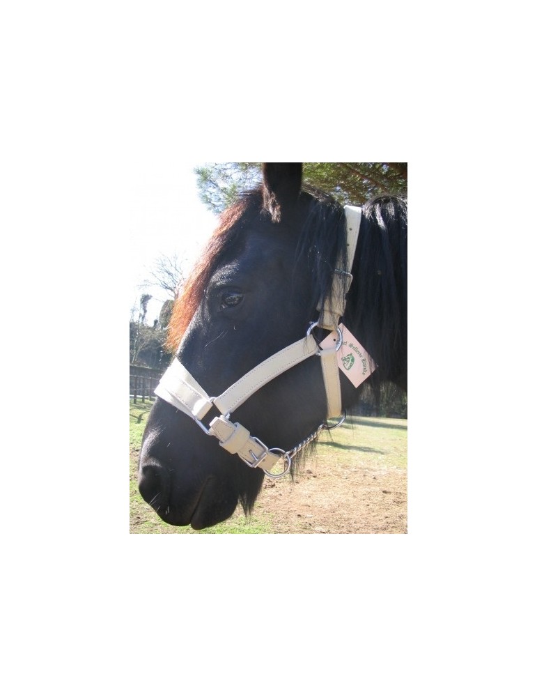 Licol d'artillerie en cuir – SB