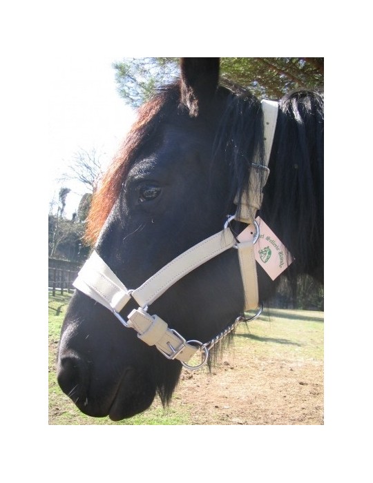 Licol d'artillerie en cuir – SB