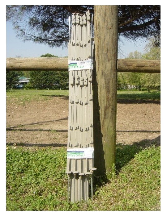 Piquet plastique « nature »