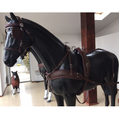 Harnais en paire avec bricole - SB 2