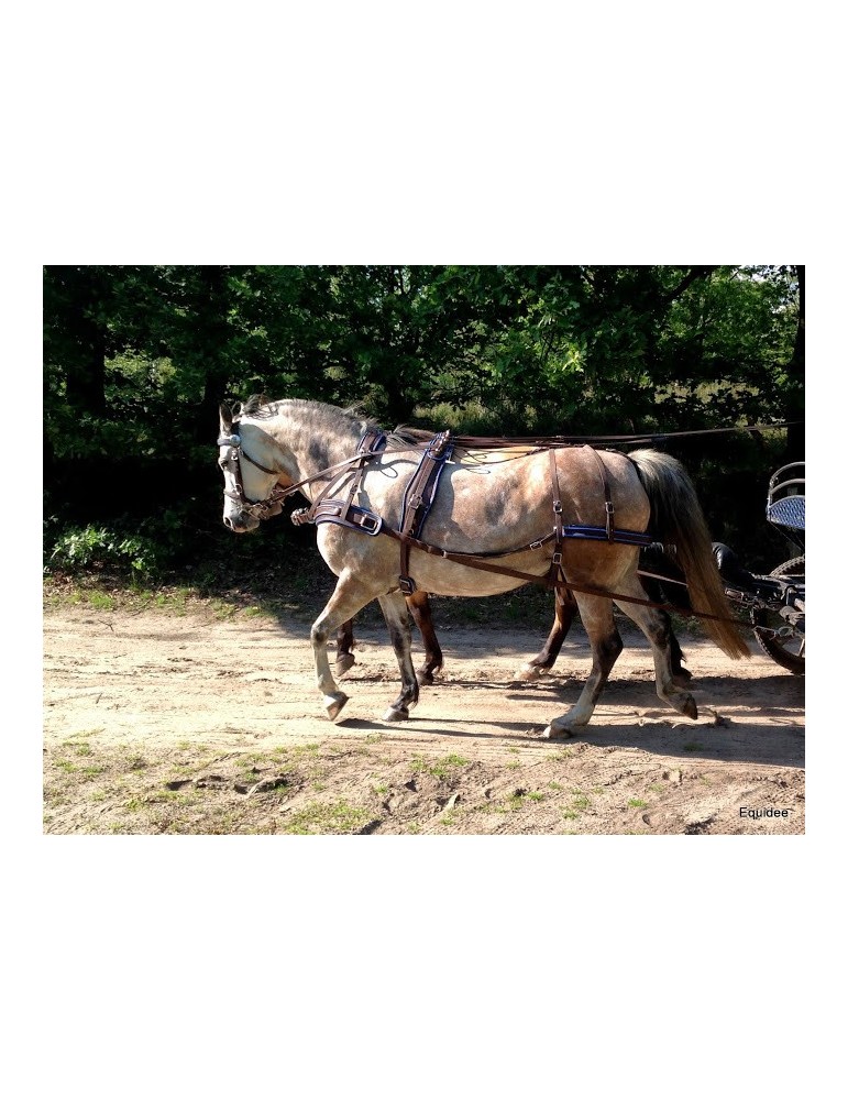 Harnais en paire avec bricole - SB