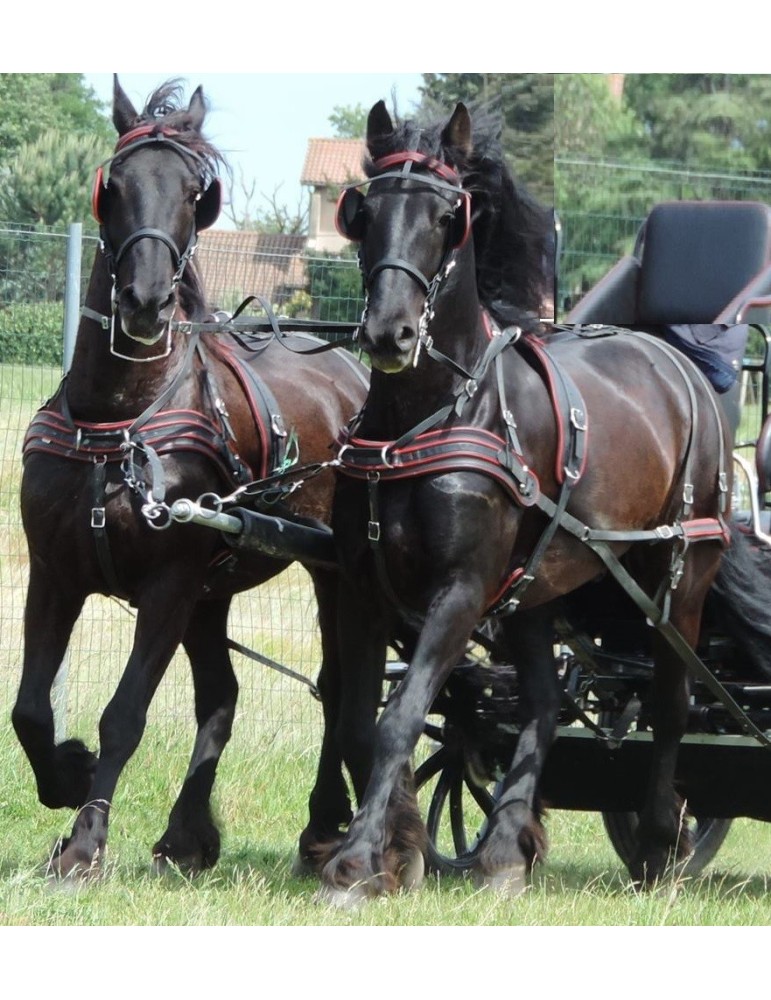 Harnais en paire avec bricole - SB