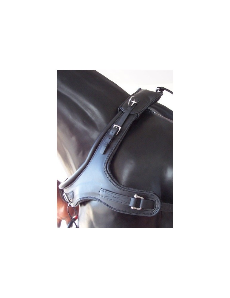 Harnais en paire avec collier bricole - SB